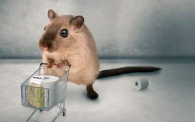 Von der Psychologie des Klopapiers – oder wie ein verknapptes Angebot die Begierde weckt