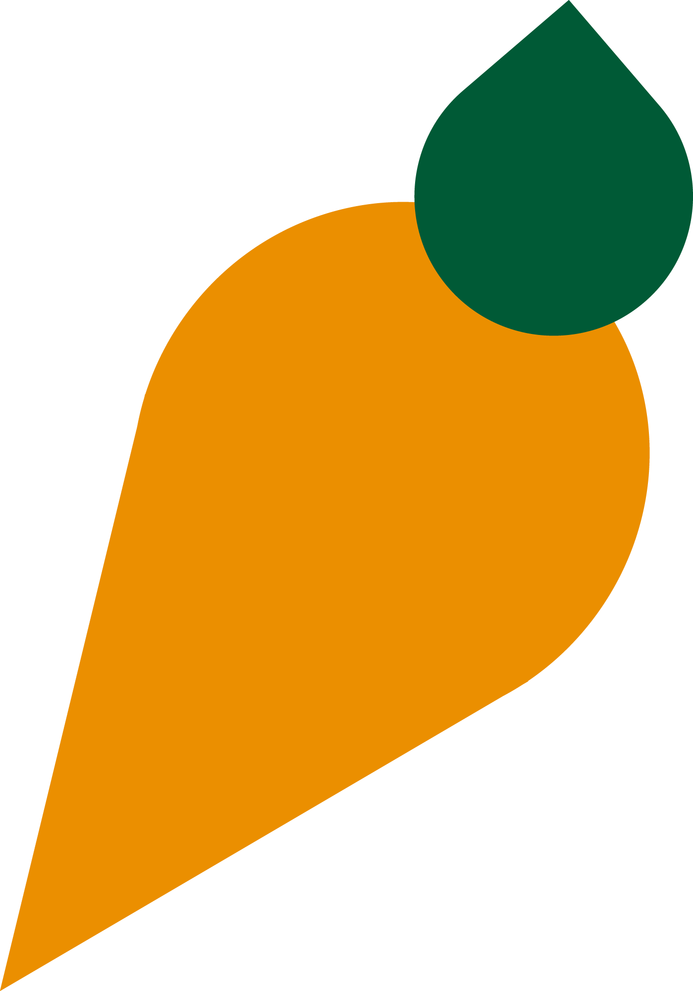 Abnehmspritze Begleitprogramm